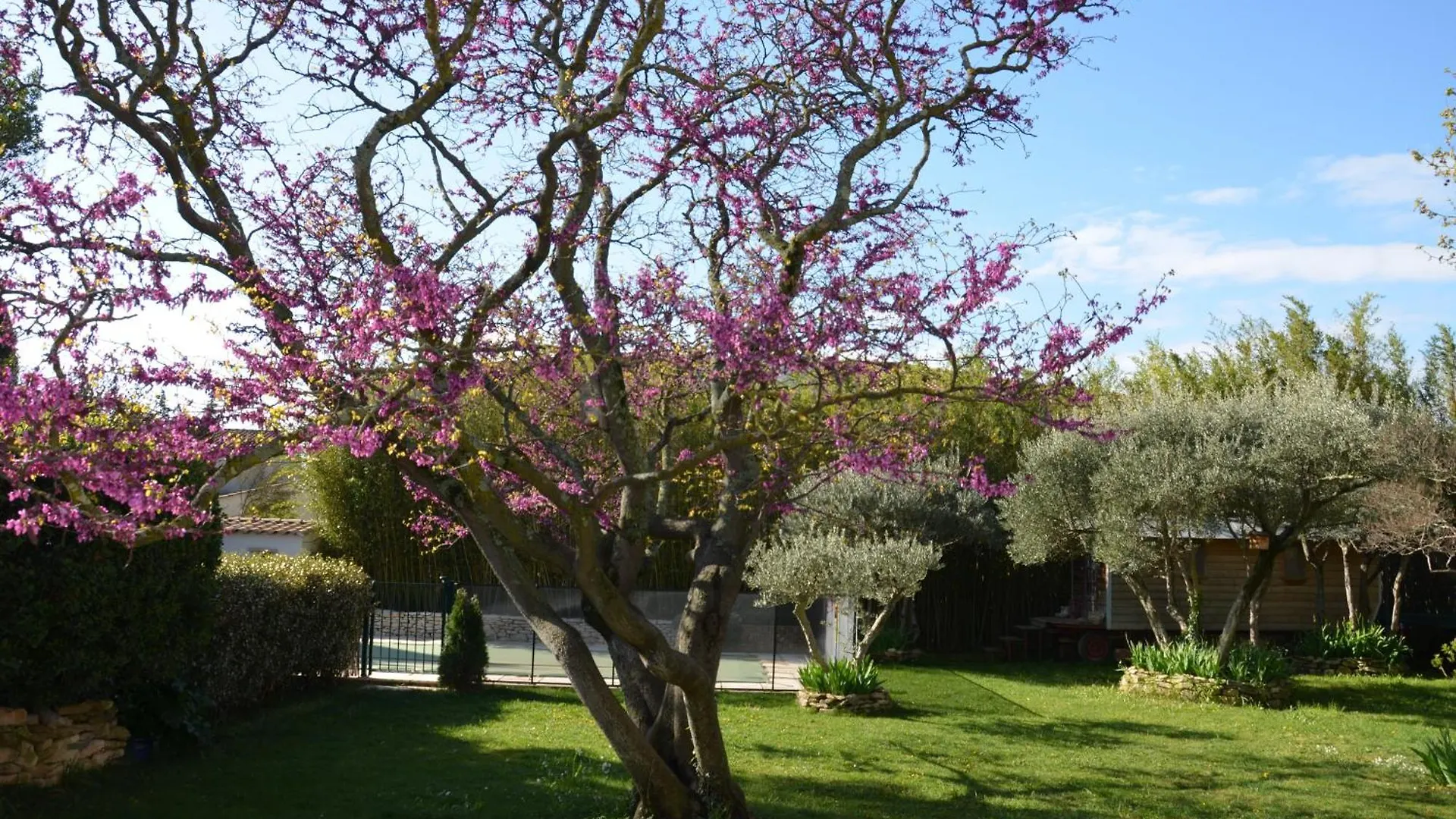 فيلا Les Treilles De Provence فينوف ليز أفيجْنْ فرنسا